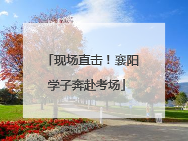 现场直击！襄阳学子奔赴考场