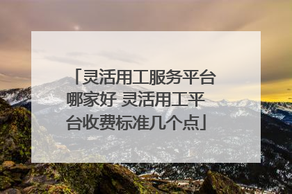 灵活用工服务平台哪家好 灵活用工平台收费标准几个点