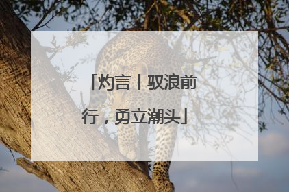 灼言丨驭浪前行，勇立潮头