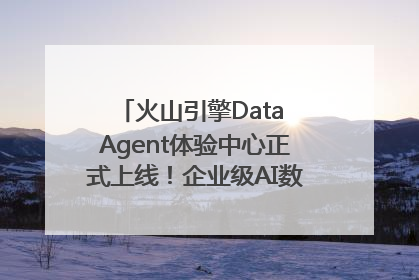 火山引擎Data Agent体验中心正式上线！企业级AI数据专家触手可及