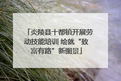 炎陵县十都镇开展劳动技能培训 绘就“致富有路”新图景