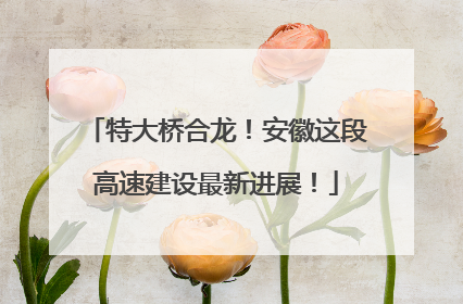 特大桥合龙！安徽这段高速建设最新进展！