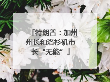 特朗普：加州州长和洛杉矶市长“无能”