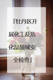 牡丹区开展化工及危化品领域安全检查