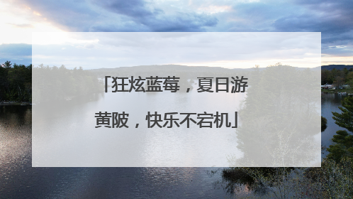 狂炫蓝莓，夏日游黄陂，快乐不宕机