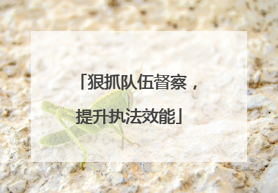 狠抓队伍督察，提升执法效能