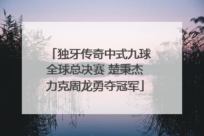 独牙传奇中式九球全球总决赛 楚秉杰力克周龙勇夺冠军