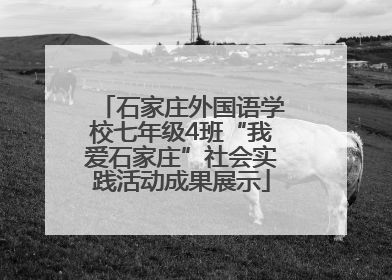 石家庄外国语学校七年级4班“我爱石家庄”社会实践活动成果展示