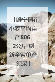 睢宁稻茬小麦平均亩产806.2公斤 刷新全省单产纪录