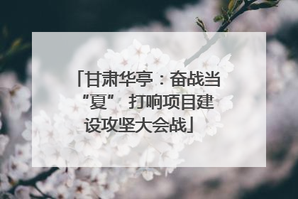 甘肃华亭：奋战当“夏” 打响项目建设攻坚大会战