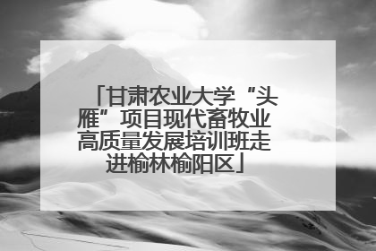 甘肃农业大学“头雁”项目现代畜牧业高质量发展培训班走进榆林榆阳区