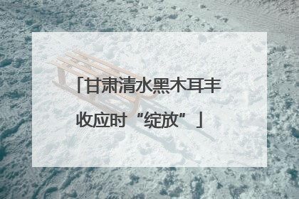 甘肃清水黑木耳丰收应时“绽放”