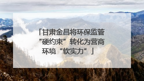 甘肃金昌将环保监管“硬约束”转化为营商环境“软实力”