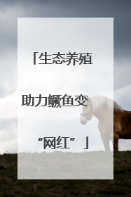 生态养殖助力鳜鱼变“网红”