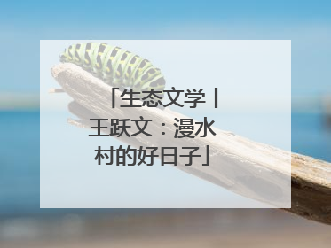 生态文学丨王跃文：漫水村的好日子
