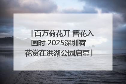 百万荷花开 簪花入画时 2025深圳荷花赏在洪湖公园启幕