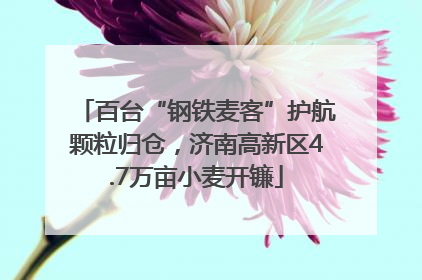 百台“钢铁麦客”护航颗粒归仓，济南高新区4.7万亩小麦开镰