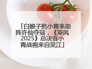 白娘子携小青来助阵许仙夺冠，《乘风2025》总决赛小青战袍来自吴江