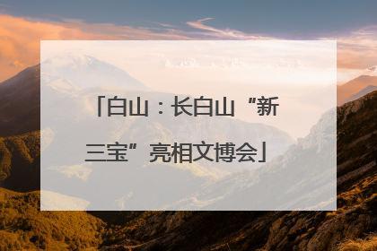 白山：长白山“新三宝”亮相文博会