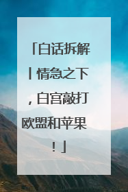 白话拆解丨情急之下，白宫敲打欧盟和苹果！