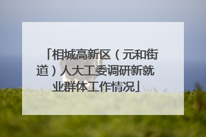 相城高新区（元和街道）人大工委调研新就业群体工作情况
