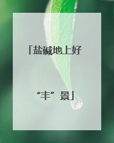 盐碱地上好“丰”景