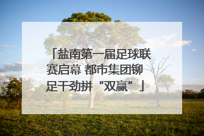 盐南第一届足球联赛启幕 都市集团铆足干劲拼“双赢”