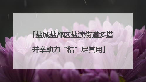 盐城盐都区盐渎街道多措并举助力“秸”尽其用