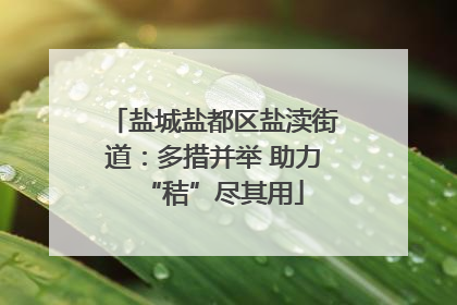 盐城盐都区盐渎街道：多措并举 助力“秸”尽其用