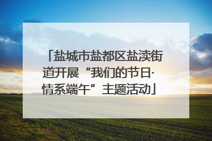 盐城市盐都区盐渎街道开展“我们的节日·情系端午”主题活动