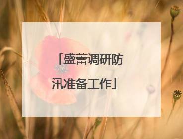 盛蕾调研防汛准备工作