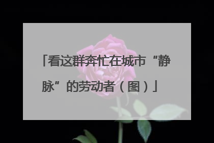 看这群奔忙在城市“静脉”的劳动者（图）