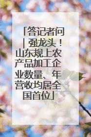 答记者问｜强龙头！山东规上农产品加工企业数量、年营收均居全国首位