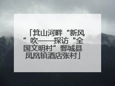 箕山河畔“新风”吹——探访“全国文明村”鄄城县凤凰镇酒店张村