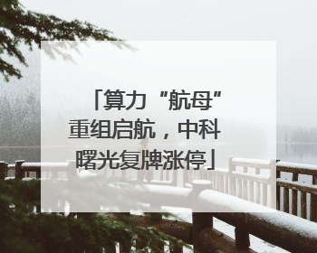 算力“航母”重组启航，中科曙光复牌涨停