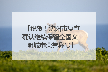 祝贺！沈阳市复查确认继续保留全国文明城市荣誉称号
