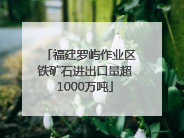 福建罗屿作业区铁矿石进出口量超1000万吨