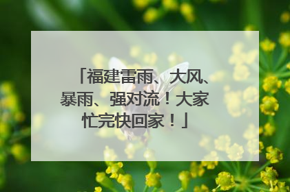 福建雷雨、大风、暴雨、强对流！大家忙完快回家！
