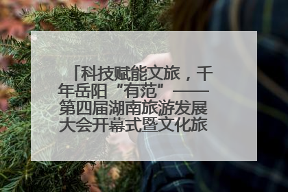 科技赋能文旅，千年岳阳“有范”——第四届湖南旅游发展大会开幕式暨文化旅游推介会侧记