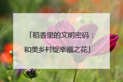 稻香里的文明密码：和美乡村绽幸福之花