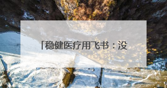 稳健医疗用飞书：没有旁观者，都是参与者、践行者、受益者