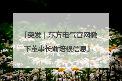 突发｜东方电气官网撤下董事长俞培根信息