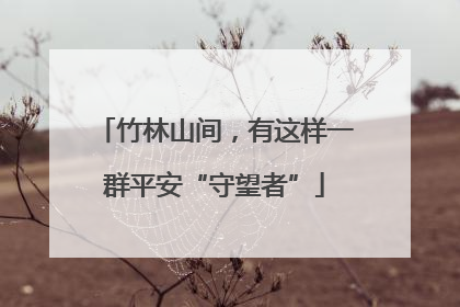 竹林山间，有这样一群平安“守望者”