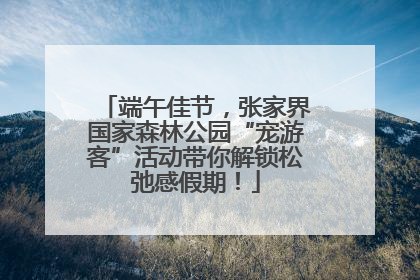 端午佳节，张家界国家森林公园“宠游客”活动带你解锁松弛感假期！
