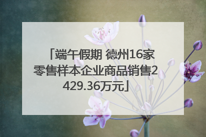 端午假期 德州16家零售样本企业商品销售2429.36万元