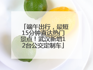 端午出行，最短15分钟直达热门景点！武汉新增12台公交定制车