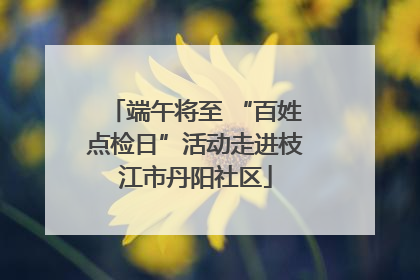 端午将至 “百姓点检日”活动走进枝江市丹阳社区
