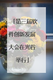 第三届软件创新发展大会在光谷举行