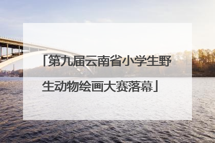 第九届云南省小学生野生动物绘画大赛落幕