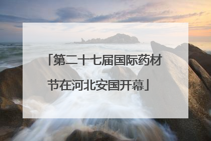 第二十七届国际药材节在河北安国开幕